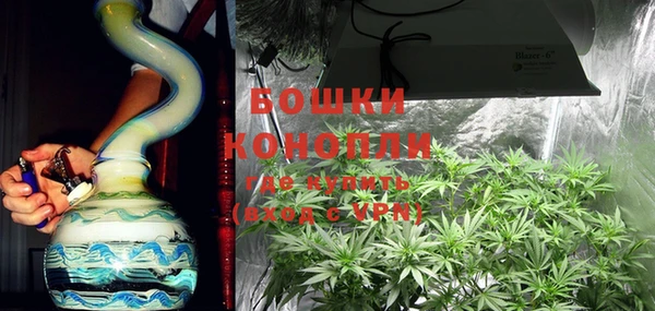 гидра Яровое