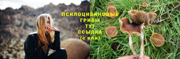 гашиш Козельск