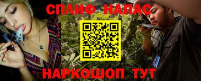 дмт Бийск