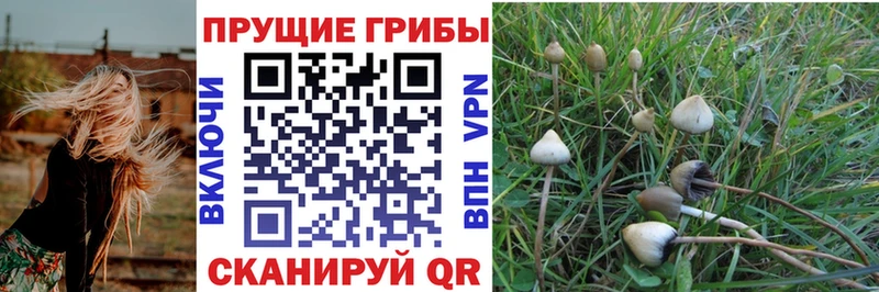 купить наркоту  Владикавказ  Псилоцибиновые грибы прущие грибы 