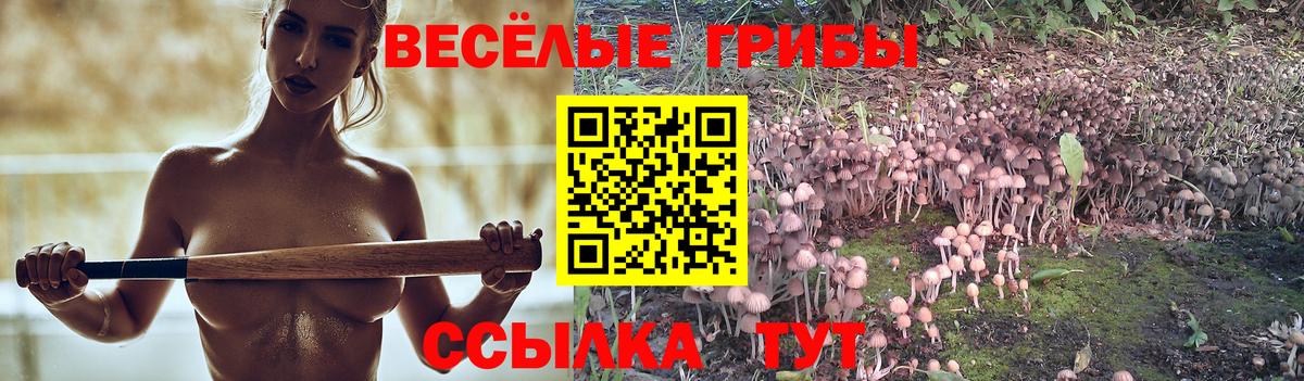 Галлюциногенные грибы прущие грибы  Галлюциногенные грибы MAGIC MUSHROOMS  Вход с VPN  Владикавказ 