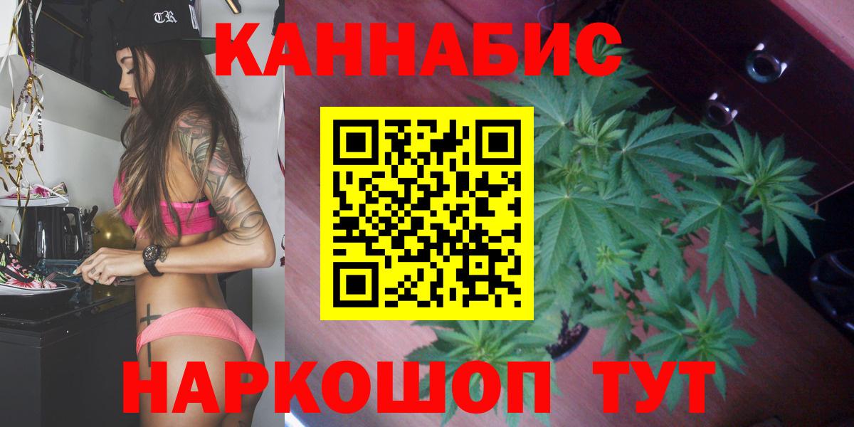 Марихуана LSD WEED  Вход с VPN  Шишки марихуана план  Владикавказ  Канабис сатива 